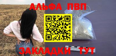 крисы Гатчина