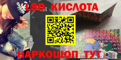 крисы Гай
