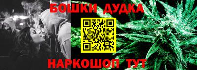 крисы Гатчина