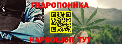 крисы Гай