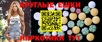 крисы Гай