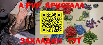 крисы Гай