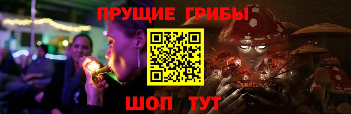 Галлюциногенные грибы GOLDEN TEACHER Железногорск
